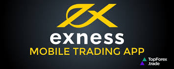 Discovering Exness Oman A Path to Successful Trading